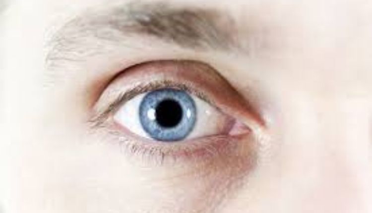 Understanding Sodomy: An Exploration Of Its Meaning And Implications