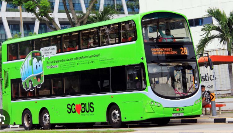 Busdoor – How To Get The Most Out Of Your Bus Door Investment