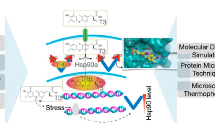 Horror In The High Desert (2021)