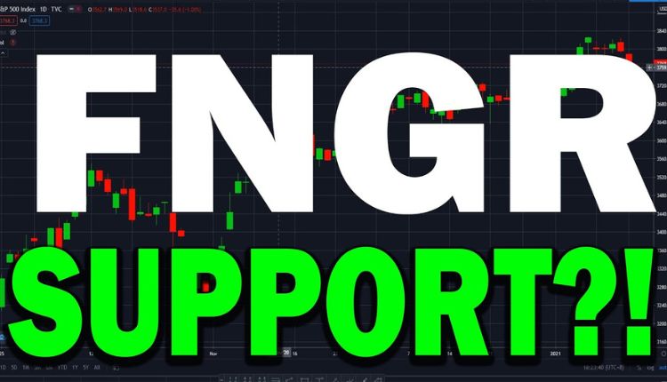 The Fundamentals Of FNGR Stock